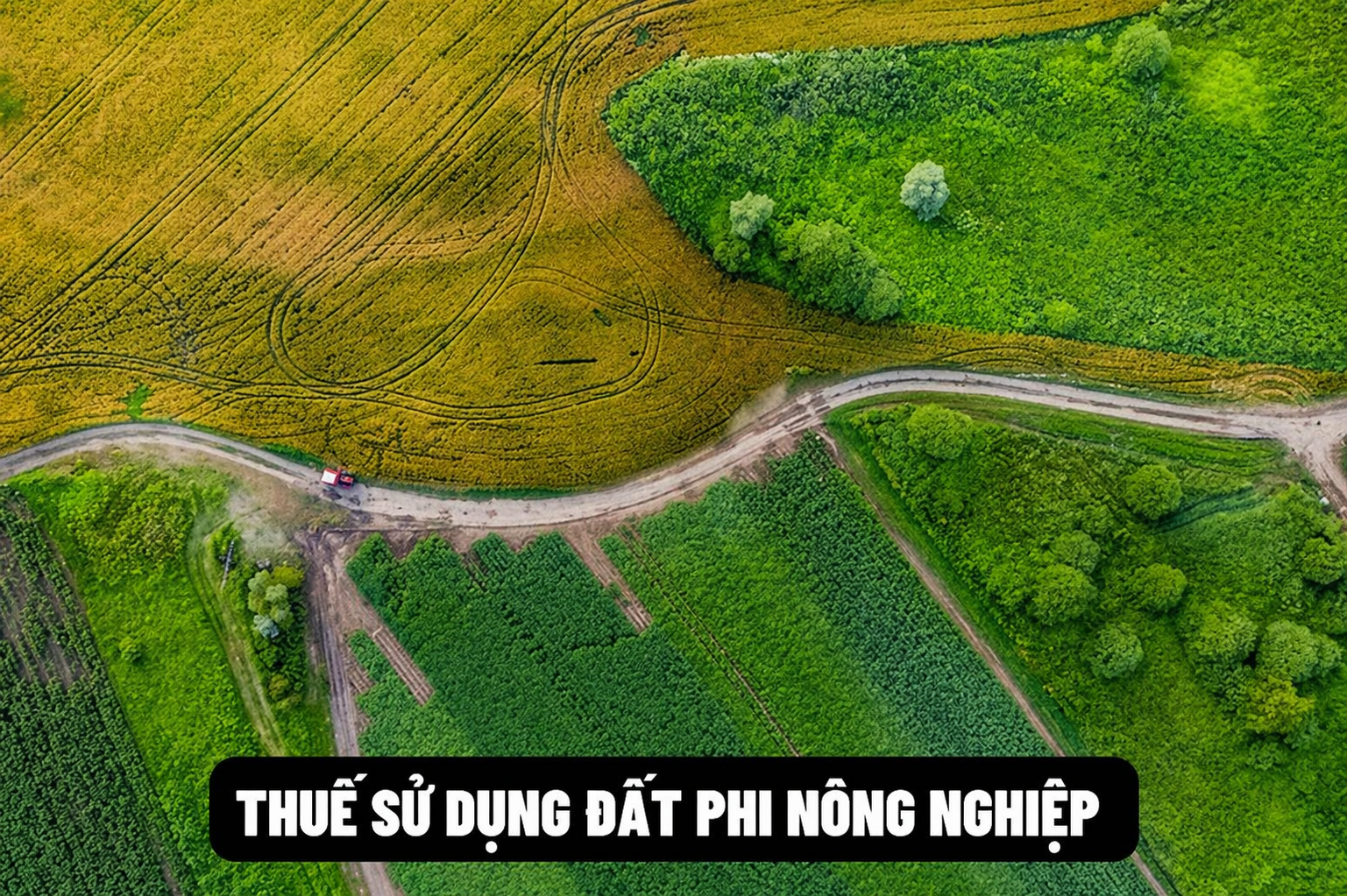Những đối tượng nào phải nộp thuế sử dụng đất phi nông nghiệp?