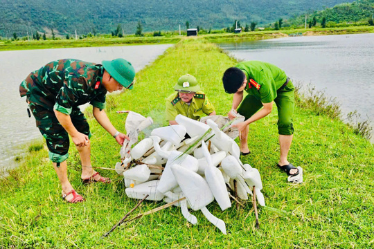 Phường Hoành Sơn tăng cường ngăn chặn, xử lý tình trạng bẫy bắt chim hoang dã