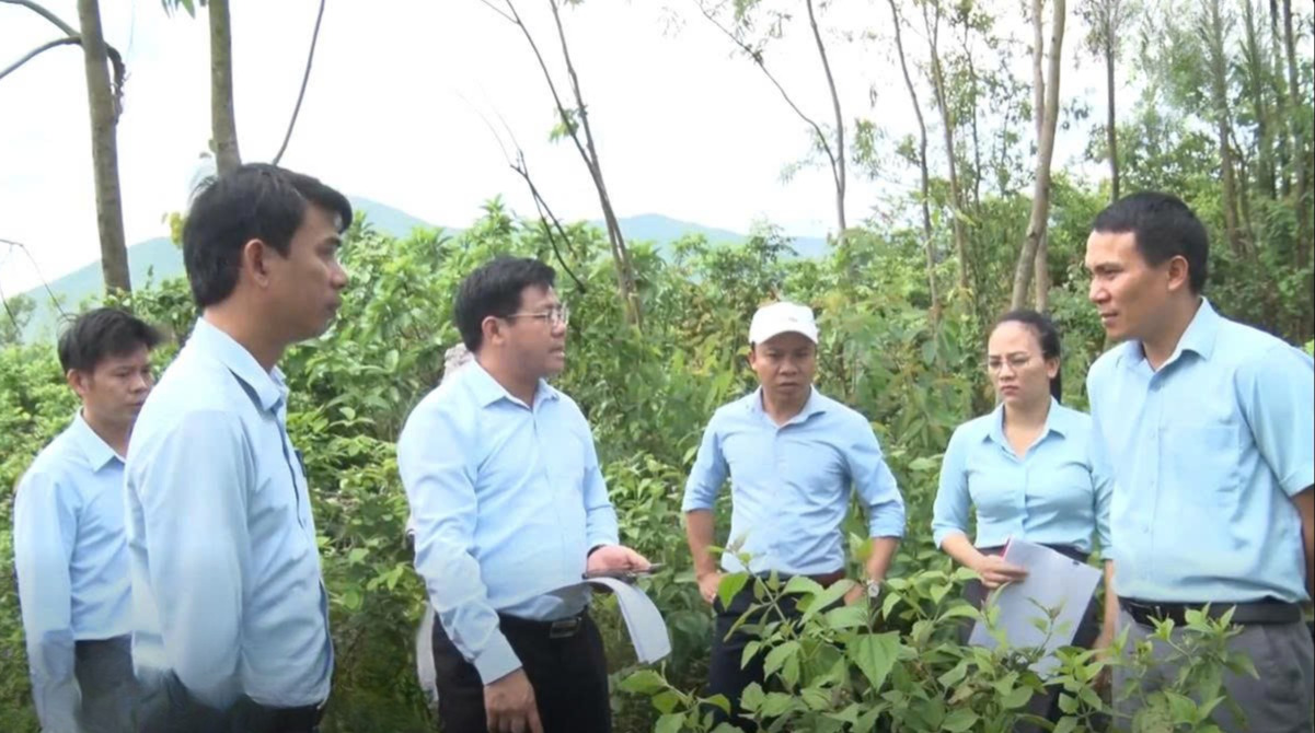 Chủ tịch UBND phường trực tiếp kiểm tra, giải quyết kiến nghị của Công dân tại hiện trường