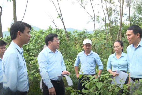 Chủ tịch UBND phường trực tiếp kiểm tra, giải quyết kiến nghị của Công dân tại hiện trường