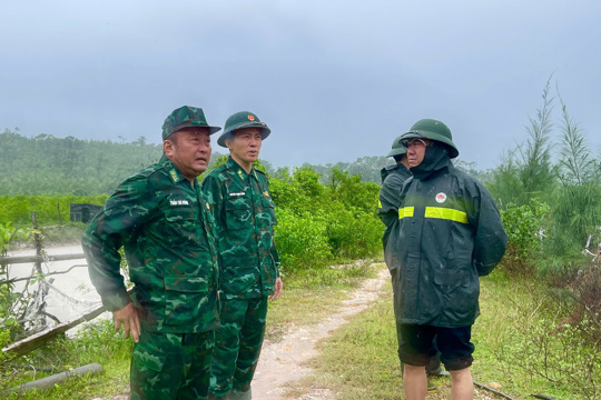 Theo chân lực lượng chức năng tháo dỡ “trận địa” bẫy chim trời tại Hoành Sơn