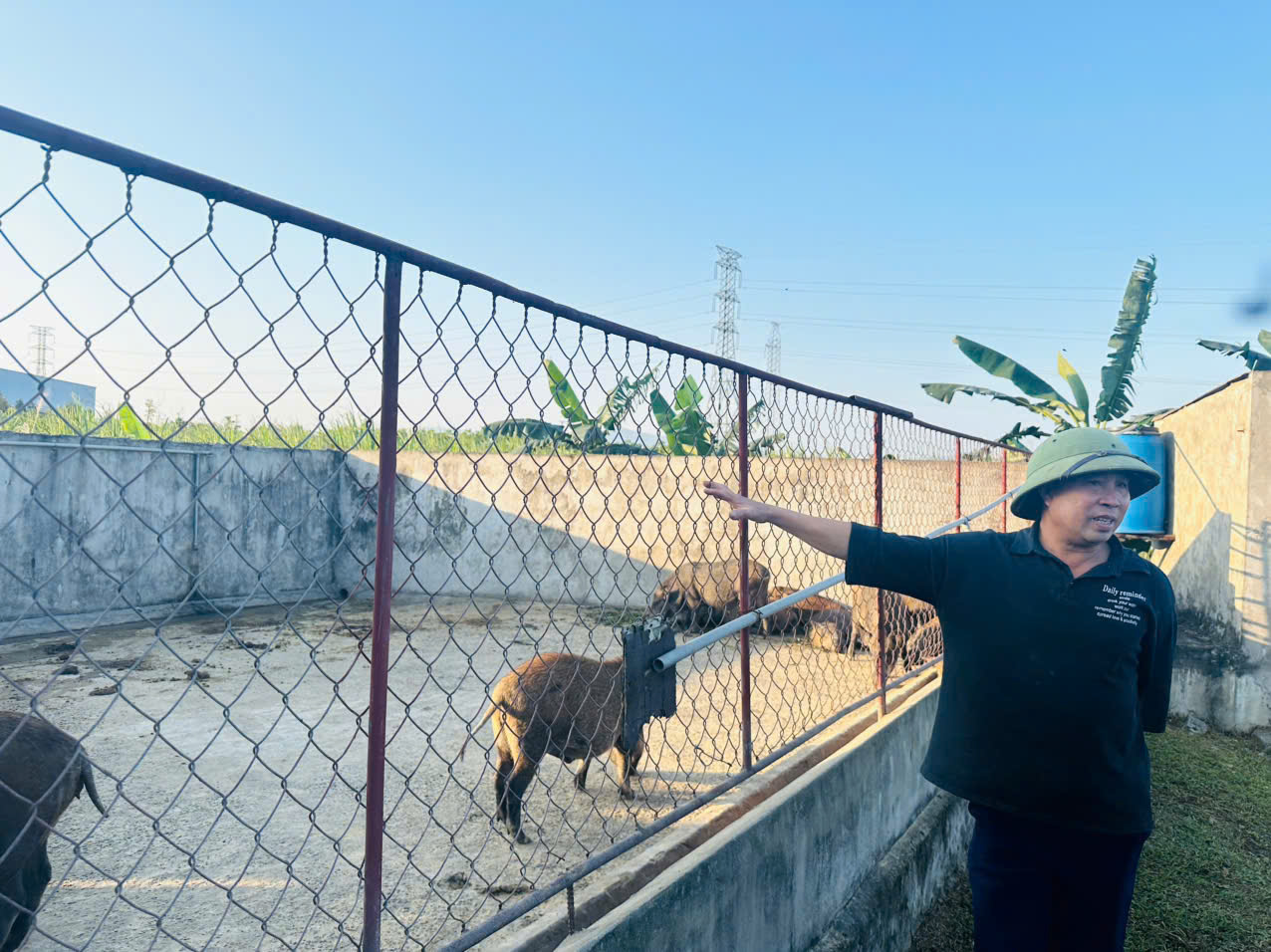 Mô hình chăn nuôi tổng hợp của hội viên nông dân phường Hoành Sơn – Hướng đi bền vững trong phát triển kinh tế hộ gia đình 